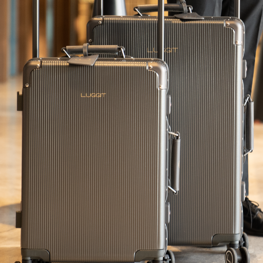 LUGGIT - Luxury -Grey-20"/24"