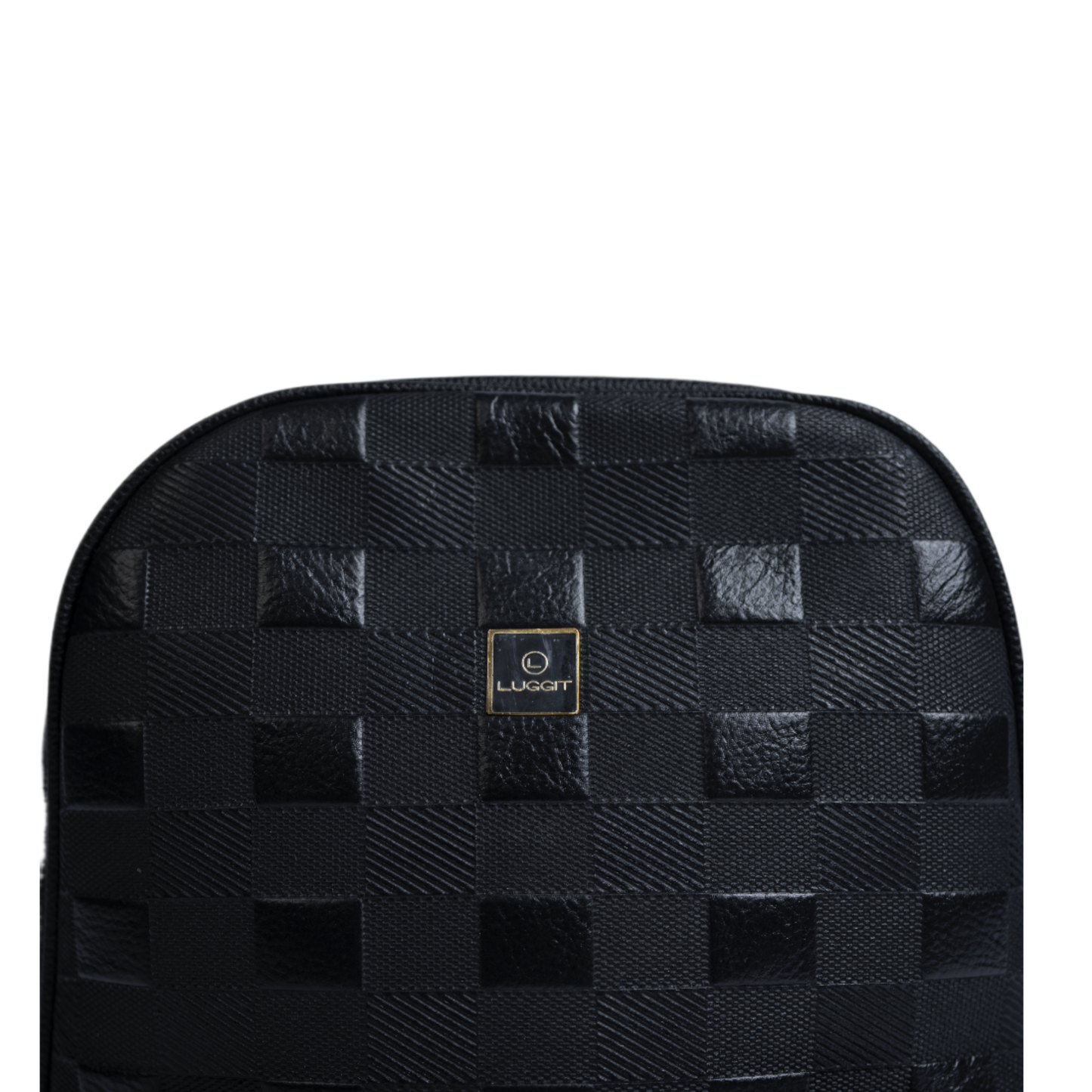 LUGGIT-BioShield Pro Lifestyle  Biometric Laptop Backpack,2411 Black
