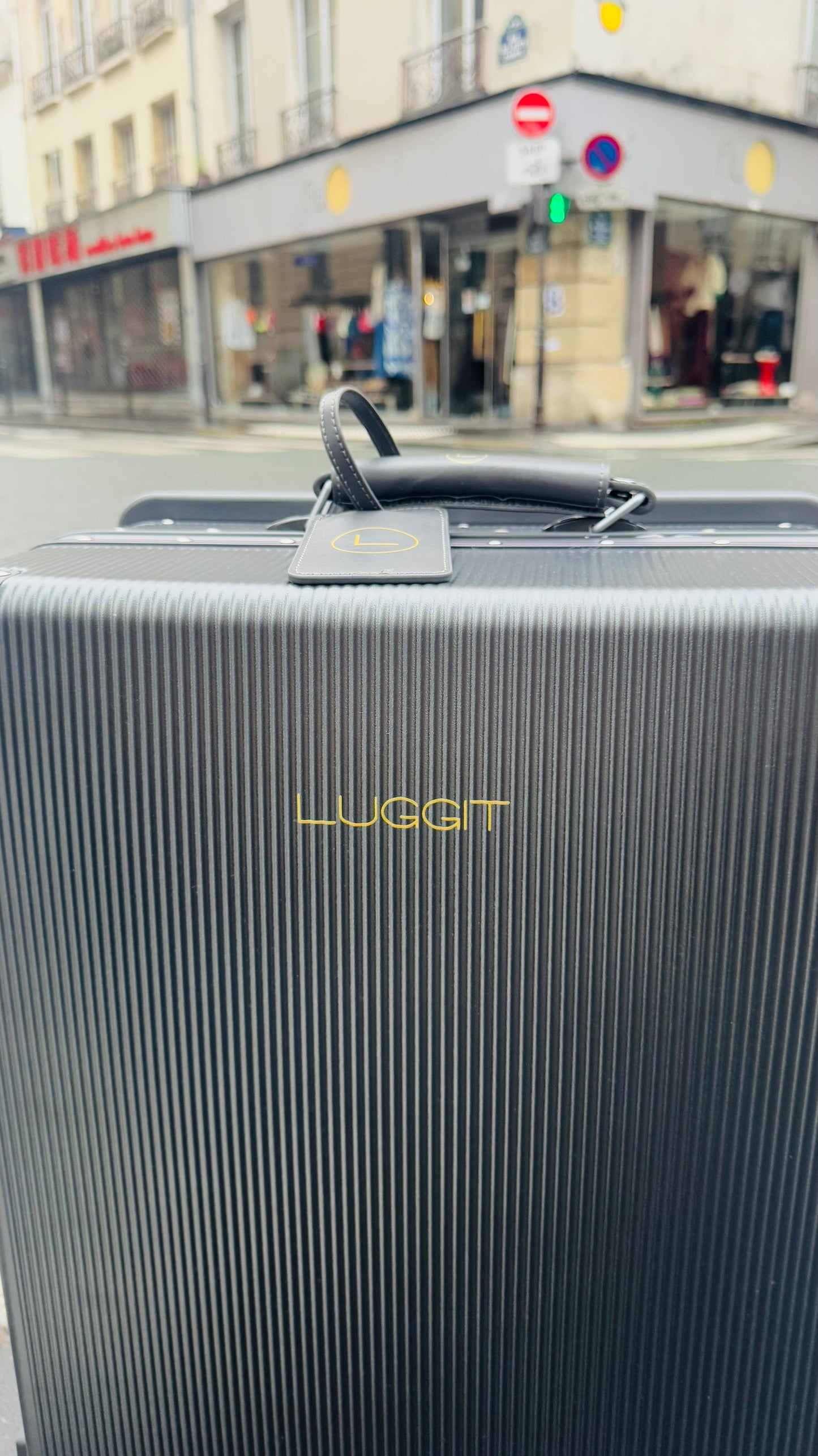 LUGGIT - Luxury -Grey-20"/24"