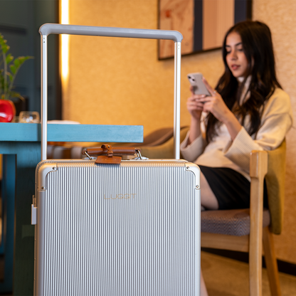 organized interior luggage compartments cabin check-in suitcase set