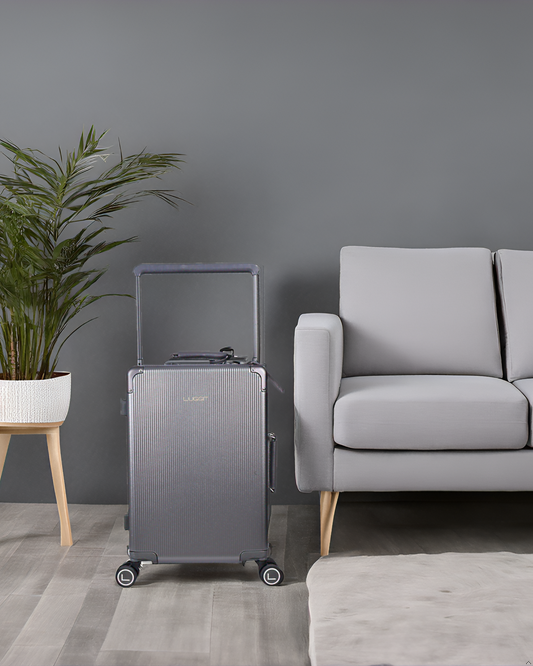 LUGGIT - Luxury -Grey-20"/24"