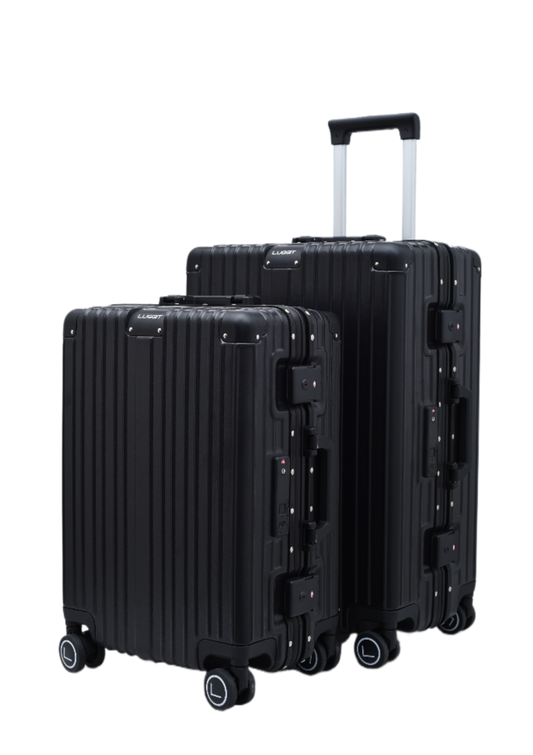 smart trolley luggage with TSA lock and fingerprint security system