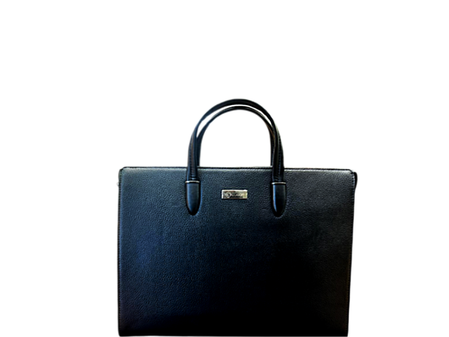 LUGGIT -Signature Shield FL2212 ADVANCE Biometric Laptop Bag