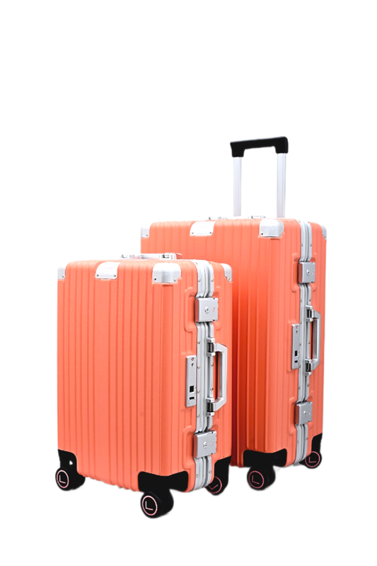 biometric fingerprint lock suitcase smart luggage secure travel bag luggit